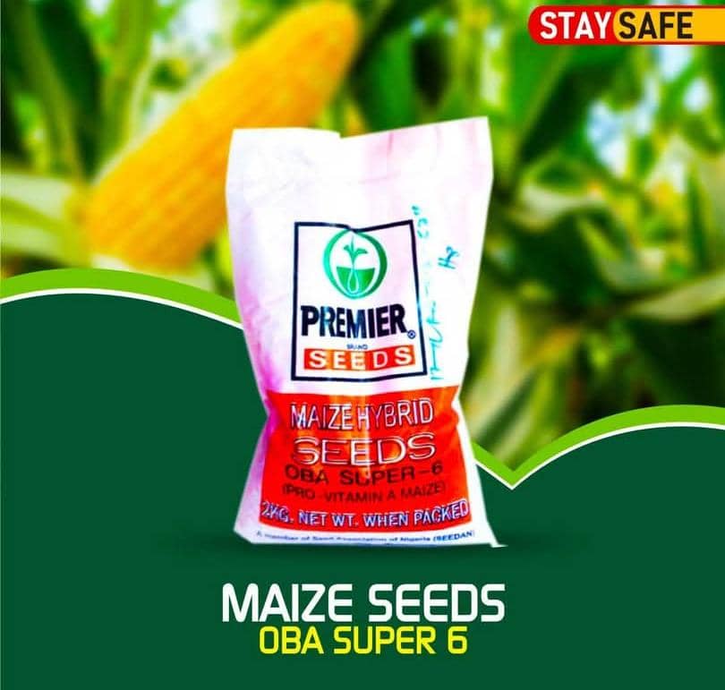Oba Super 6 Maize Seeds - 2kg