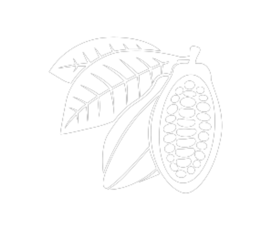 Cocoa seedling supply (improved, high-yield varieties)