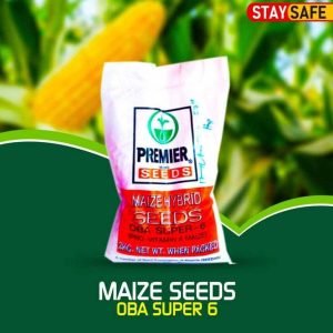 Oba Super 6 Maize Seeds