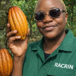 Fresh Cocoa Pods Available